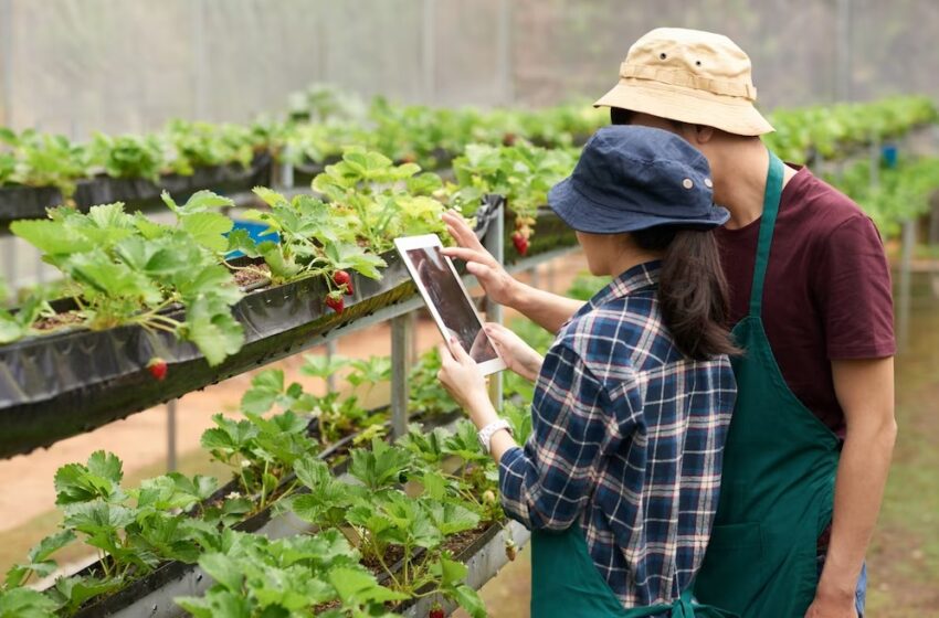  The Emergence of Smart Agriculture and Its Economic Impacts