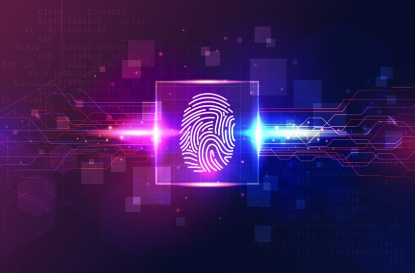  Exploring the Potential of Biometric Security in Everyday Life