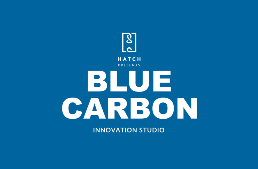  Blue Carbon Innovation Studio: Fostering Global Climate Solutions Through Ocean-Based Carbon Initiatives